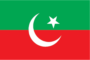 Pakistan Tehreek-e-Insaf Logo Vector