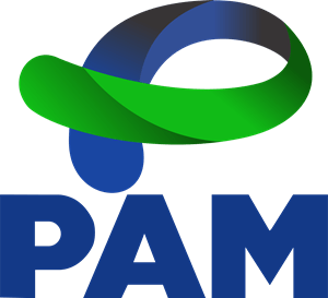 PAM Governo do Paraná Logo PNG Vector