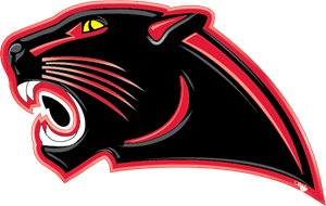 Panther Logo Vector