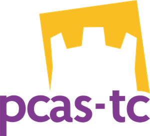 Partido Castellano Logo Vector
