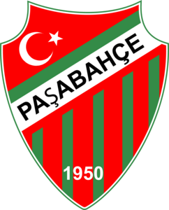 Paşabahçe Spor Logo PNG Vector