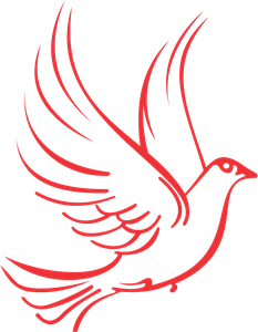 Pássaro Logo Vector