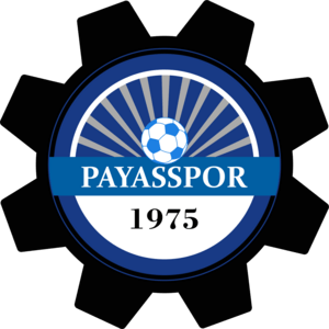 Payasspor Logo PNG Vector