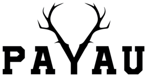 PAYAU Logo PNG Vector