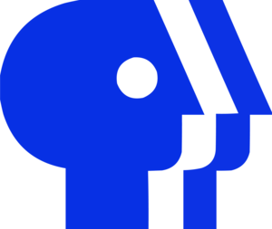 PBS (1984-2019) Logo PNG Vector