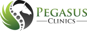 Pegasus Clinics Logo PNG Vector