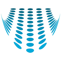 PERSPECTIVE DESIGN ELEMENT Logo PNG Vector