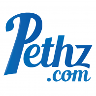 Pethz Logo PNG Vector