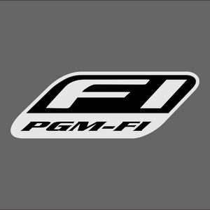 PGM FI Logo PNG Vector