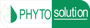 phyto Logo PNG Vector