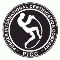 PICC Logo PNG Vector