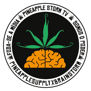 Pineapple Storm Logo Vector