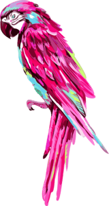 Pink Parrot Logo PNG Vector