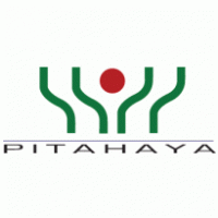 Pitahaya Logo PNG Vector