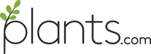Plants Logo PNG Vector