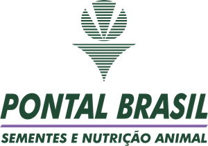 PONTAL BRASIL Logo PNG Vector