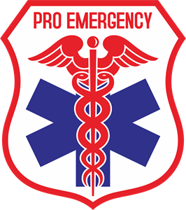 PRO EMERGENCY Logo Vector