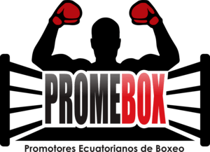 Promebox Logo PNG Vector