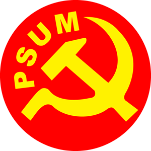 PSUM Logo PNG Vector
