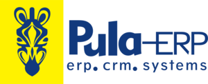 PulaERP Logo PNG Vector