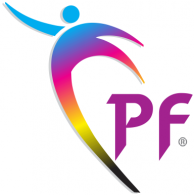 Punjab Flex Logo PNG Vector