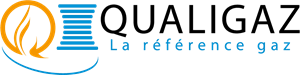 Qualigaz Logo Vector