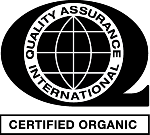 Quality Assurance International Logo PNG Vector