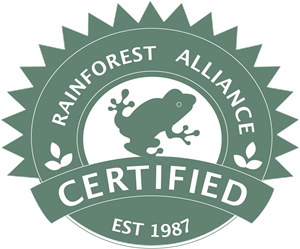Rain Forest Logo Vector