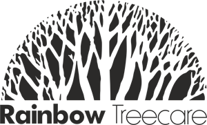 Rainbow Treecare Logo PNG Vector