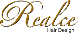 Realce Hair Design Logo Vector