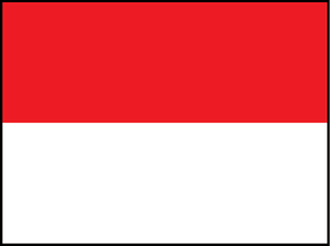 Republic of Indonesia Flag Logo Vector