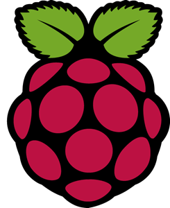 Raspberry Pi Logo Vector