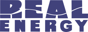 Real Energy Logo Vector