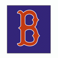 Red Sox Logo Vector