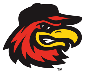 Rochester Red Wings Logo PNG Vector