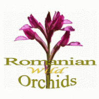 Romanian Wild Orchids Logo PNG Vector