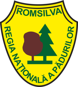 ROMSILVA Logo PNG Vector