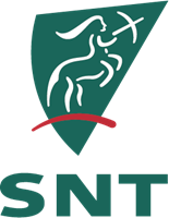 SNT Group Logo Vector