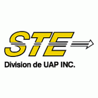 STE Logo PNG Vector