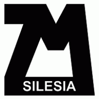 Silesia Logo PNG Vector