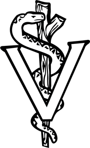 Snake Logo Vector
