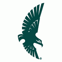 Soaring Seahawk Logo PNG Vector