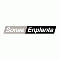 Sonae Enplanta Logo PNG Vector