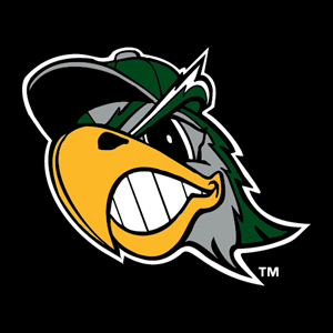 South Bend Silver Hawks Logo PNG Vector