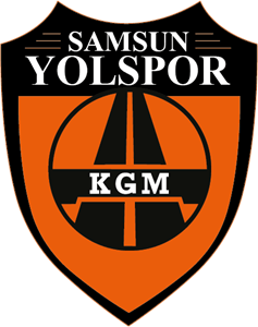 Samsun Yolspor Logo PNG Vector