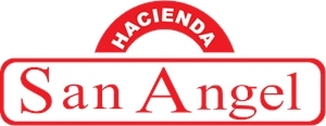 San Angel Logo PNG Vector