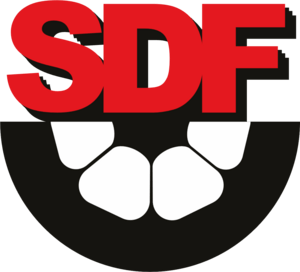 SD Flamengo Logo PNG Vector