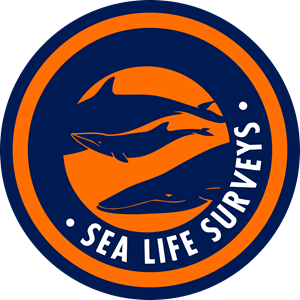 SEA LIFE SURVEYS Logo Vector