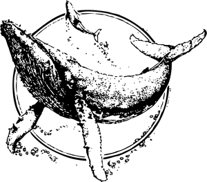 Sea Shepherd Conservation Society Logo PNG Vector