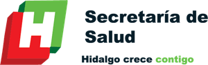 Secretaria Salud Hidalgo Logo PNG Vector